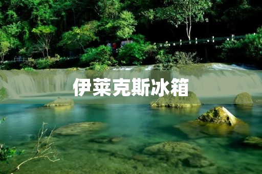 伊莱克斯冰箱：名牌之选还是普通货？