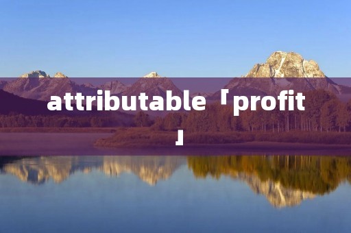 attributable「profit」
