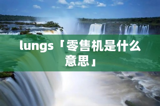 lungs「零售机是什么意思」