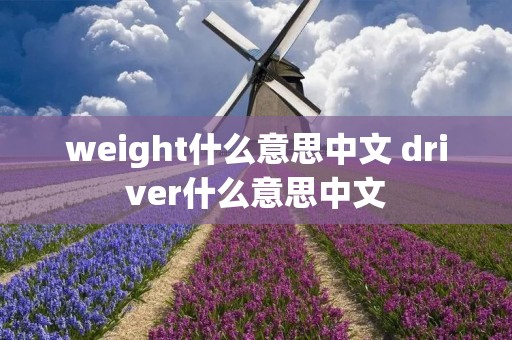 weight什么意思中文 driver什么意思中文