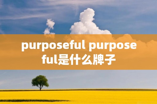 purposeful purposeful是什么牌子