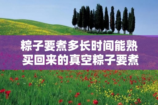 粽子要煮多长时间能熟 买回来的真空粽子要煮多长时间能熟