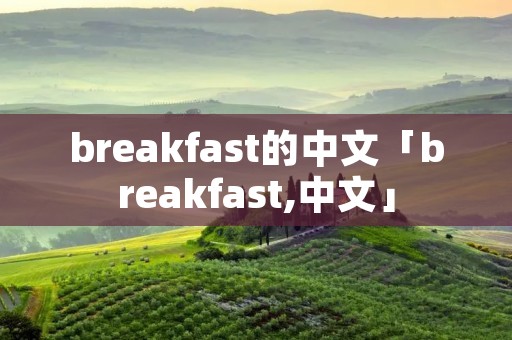 breakfast的中文「breakfast,中文」