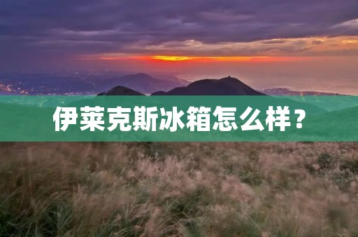 伊莱克斯冰箱怎么样? 伊莱克斯冰箱怎么样?