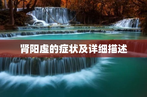 肾阳虚的症状及详细描述