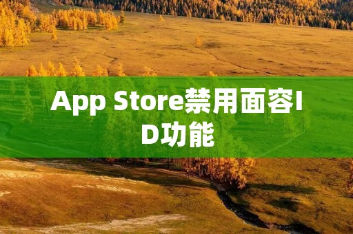 App Store禁用面容ID功能:保障用户隐私与数据安全