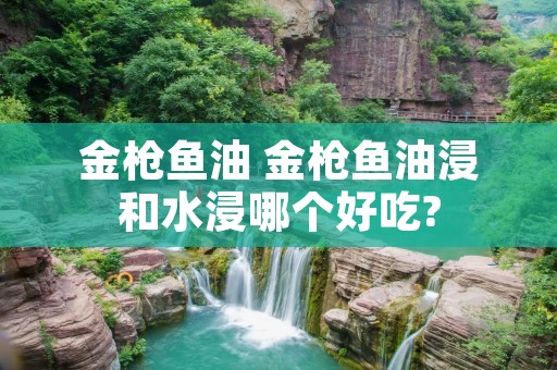 金枪鱼油 金枪鱼油浸和水浸哪个好吃?