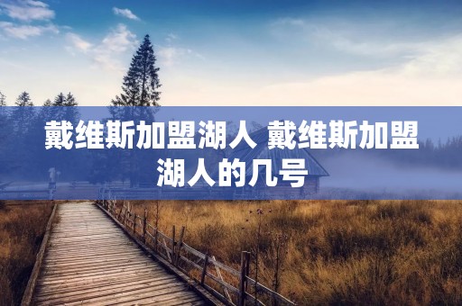 戴维斯加盟湖人 戴维斯加盟湖人的几号 戴维斯加盟湖人 戴维斯加盟湖人的几号