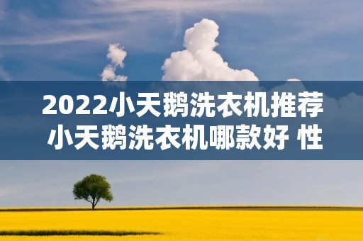 2022小天鹅洗衣机推荐 小天鹅洗衣机哪款好 性价比怎么样