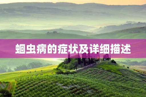 蛔虫病的症状及详细描述