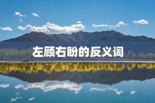 左顾右盼的反义词：专注坚定