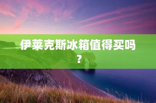伊莱克斯冰箱值得买吗？
