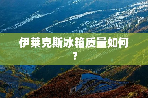 伊莱克斯冰箱质量如何？