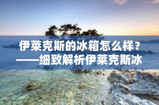 伊莱克斯的冰箱怎么样？——细致解析伊莱克斯冰箱的性能和特点