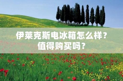 伊莱克斯电冰箱怎么样？值得购买吗？