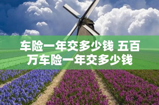 车险一年交多少钱 五百万车险一年交多少钱