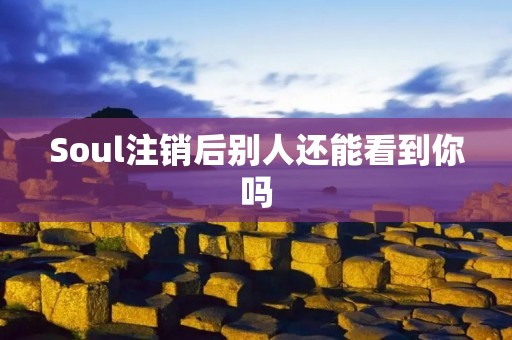 Soul注销后别人还能看到你吗:隐私泄露的风险与防范