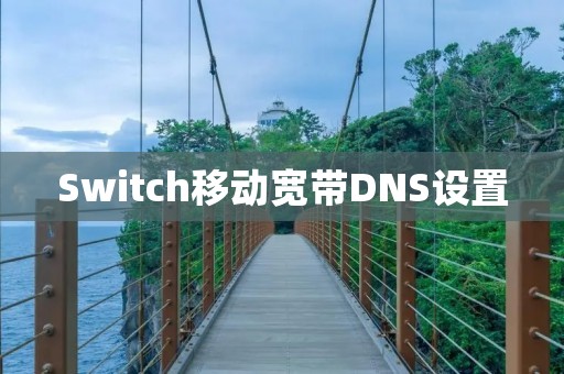 Switch移动宽带DNS设置