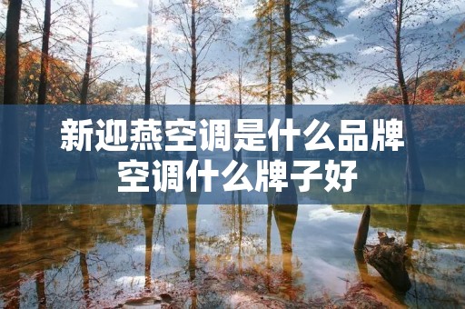 新迎燕空调是什么品牌 空调什么牌子好