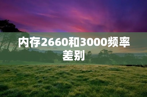 内存2660和3000频率差别