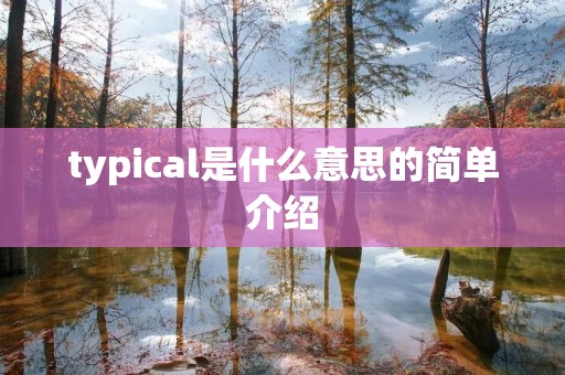 typical是什么意思的简单介绍