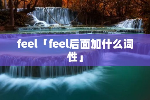 feel「feel后面加什么词性」