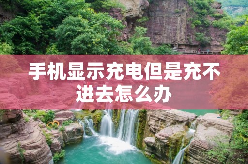 手机显示充电但是充不进去怎么办