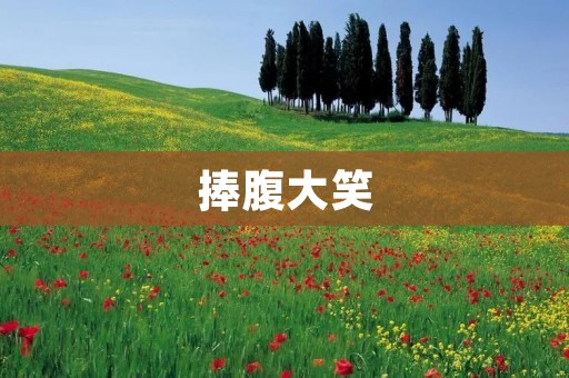 捧腹大笑:让幽默化解压力的艺术