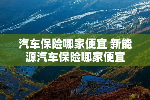 汽车保险哪家便宜 新能源汽车保险哪家便宜 汽车保险哪家便宜 新能源汽车保险哪家便宜