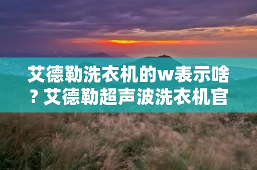 艾德勒洗衣机的w表示啥? 艾德勒超声波洗衣机官网