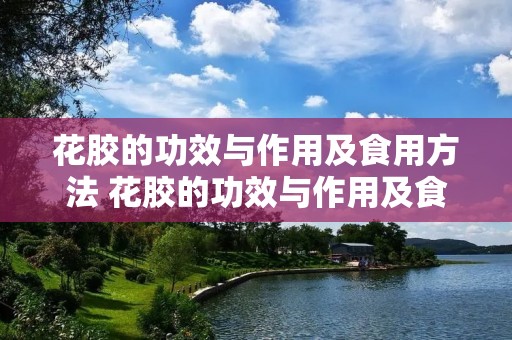 花胶的功效与作用及食用方法 花胶的功效与作用及食用方法这样吃可以好