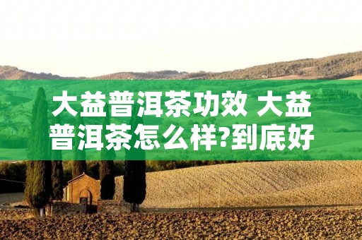 大益普洱茶功效 大益普洱茶怎么样?到底好不好?