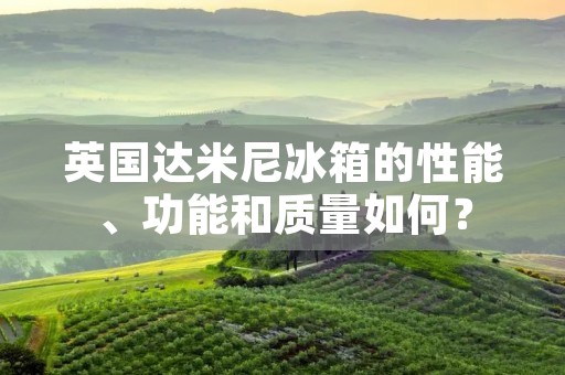 英国达米尼冰箱的性能、功能和质量如何? 英国达米尼冰箱的性能、功能和质量如何?