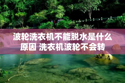 波轮洗衣机不能脱水是什么原因 洗衣机波轮不会转
