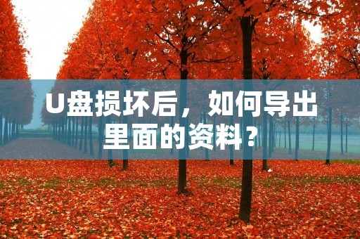U盘损坏后,如何导出里面的资料?