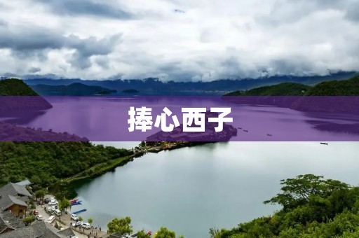 捧心西子:传世之美
