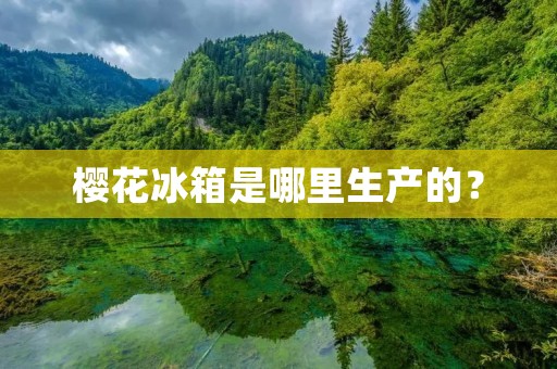 樱花冰箱是哪里生产的？
