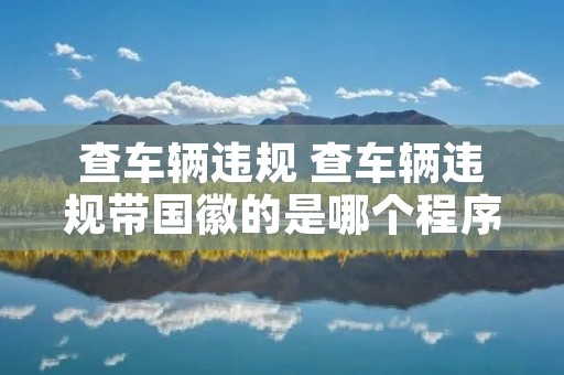 查车辆违规 查车辆违规带国徽的是哪个程序
