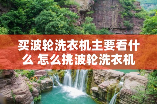 买波轮洗衣机主要看什么 怎么挑波轮洗衣机