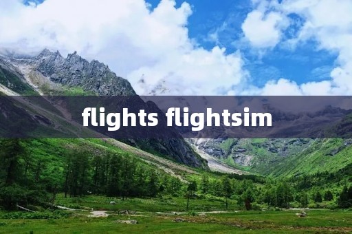 flights flightsim