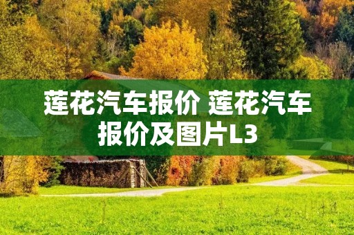 莲花汽车报价 莲花汽车报价及图片L3
