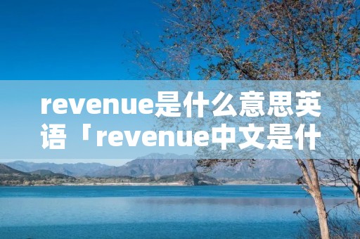 revenue是什么意思英语「revenue中文是什么意思」
