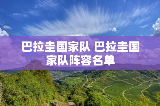 巴拉圭国家队 巴拉圭国家队阵容名单