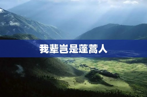 我辈岂是蓬蒿人:追求卓越的人生之路
