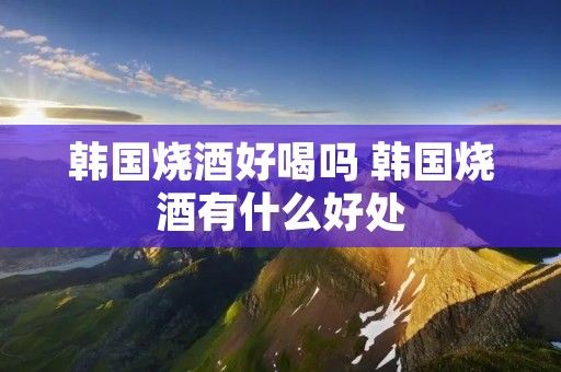 韩国烧酒好喝吗 韩国烧酒有什么好处