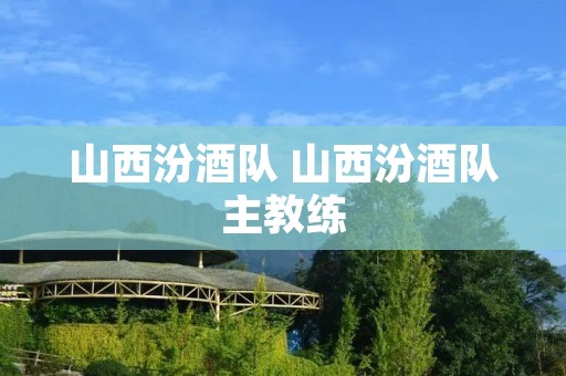 山西汾酒队 山西汾酒队主教练
