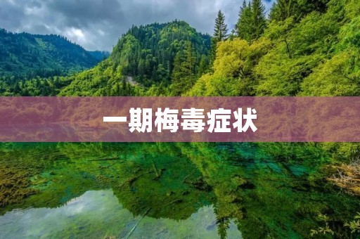一期梅毒症状：详细描述