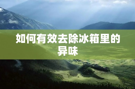 如何有效去除冰箱里的异味 如何有效去除冰箱里的异味