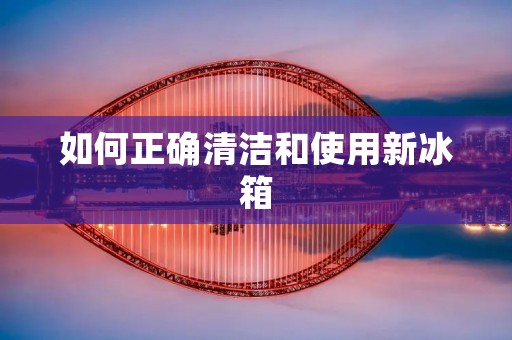 如何正确清洁和使用新冰箱