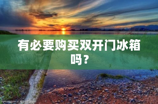 有必要购买**门冰箱吗? 有必要购买**门冰箱吗?